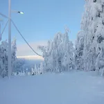 Tiiringolf *