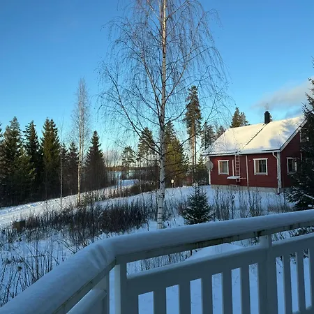 Tiiringolf Nilsiä