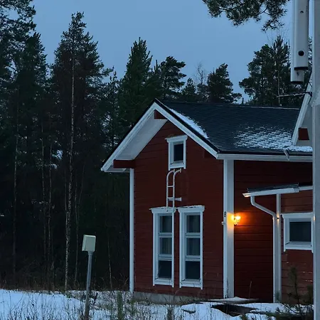 Tiiringolf Nilsiä