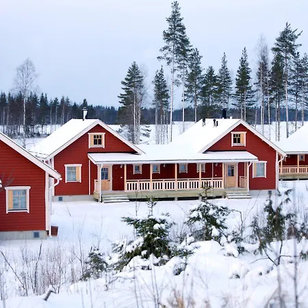 Tiiringolf * Nilsiä