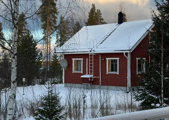 Tiiringolf * Nilsiä